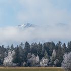 "Himalaya"stimmung im Isarwinkel