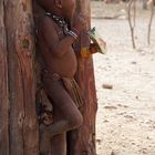 Himba