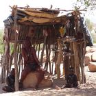 Himbafamilie. Namibia