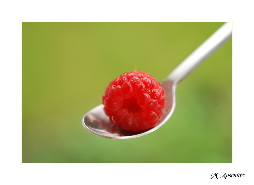 Himbeere auf Löffel