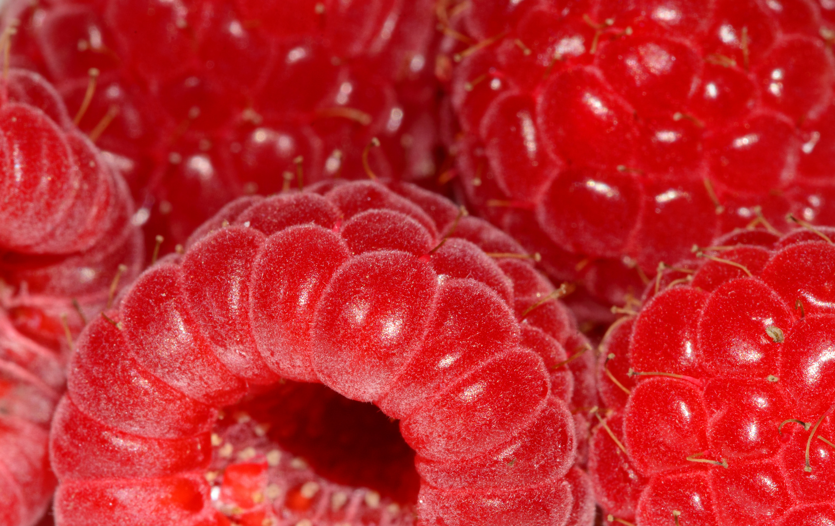 Himbeere Foto & Bild stillleben, foodfotografie, obst & gemüse