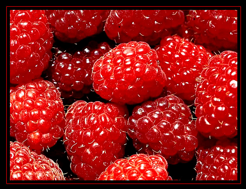 Himbeeren