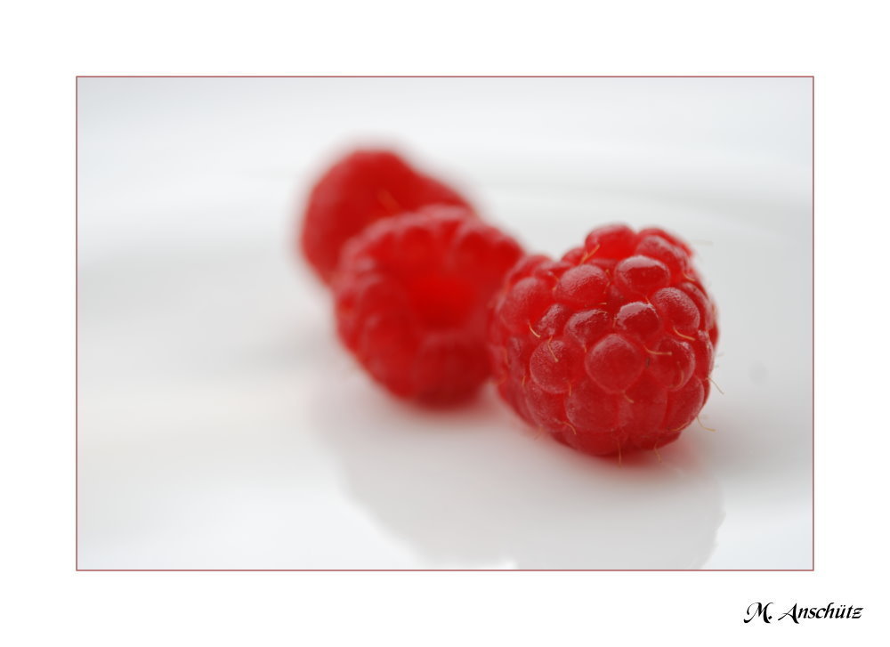 Himbeeren