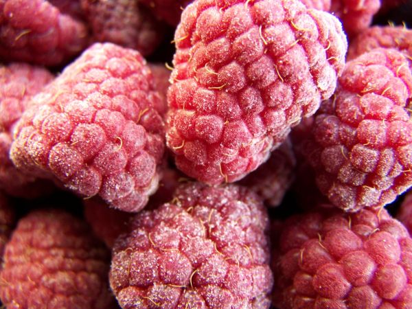 Himbeeren