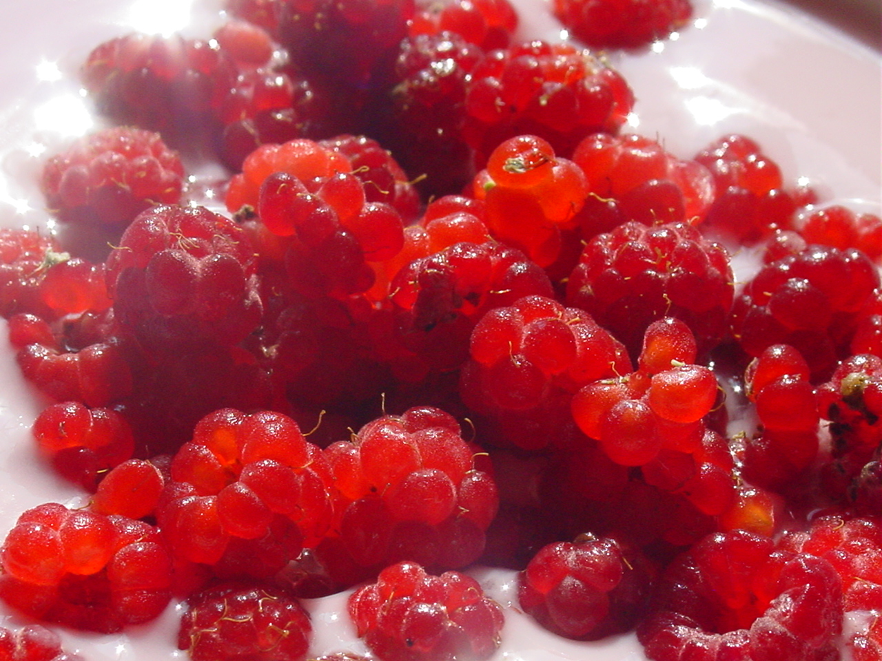 Himbeeren