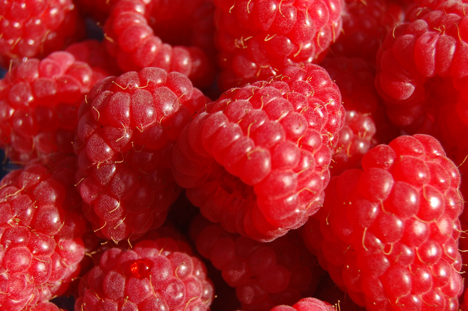 Himbeeren