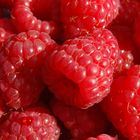 Himbeeren