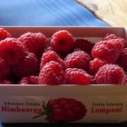 Himbeeren