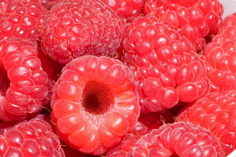 Himbeeren