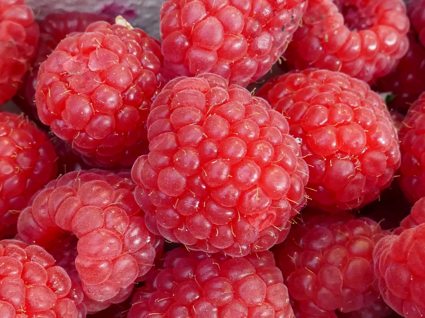 Himbeeren