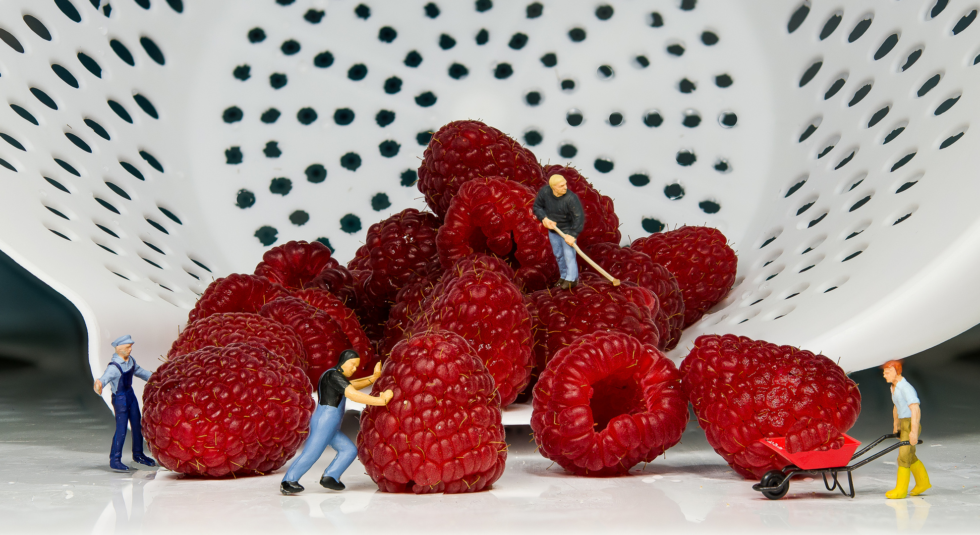 Himbeeren...