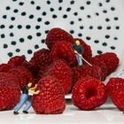 Himbeeren...