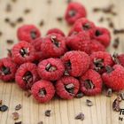 Himbeeren mit Kakaonibs