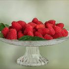 Himbeeren - Rubus idaeus,,,,