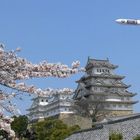 Himeji castle