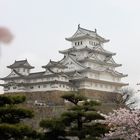 Himeji-jo