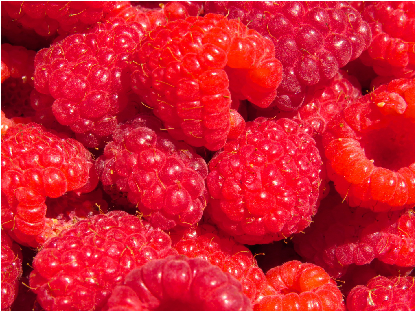 Himmbeeren