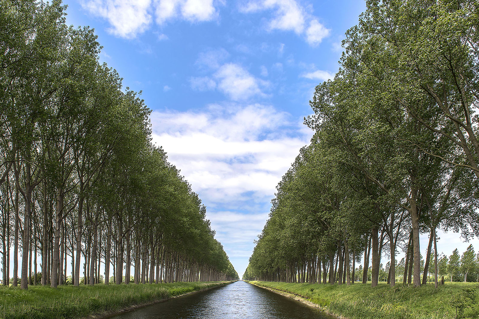 Himmel, Allee, Kanal