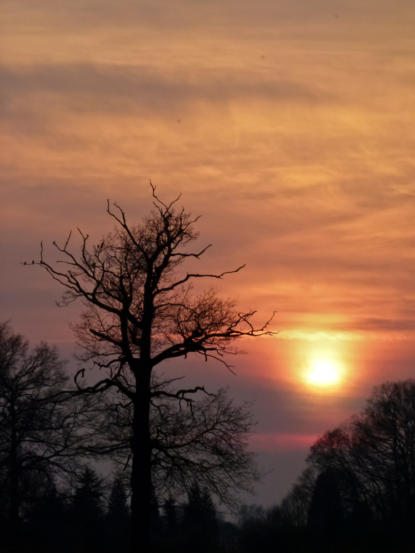 Himmel am Abend