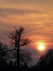 Himmel am Abend