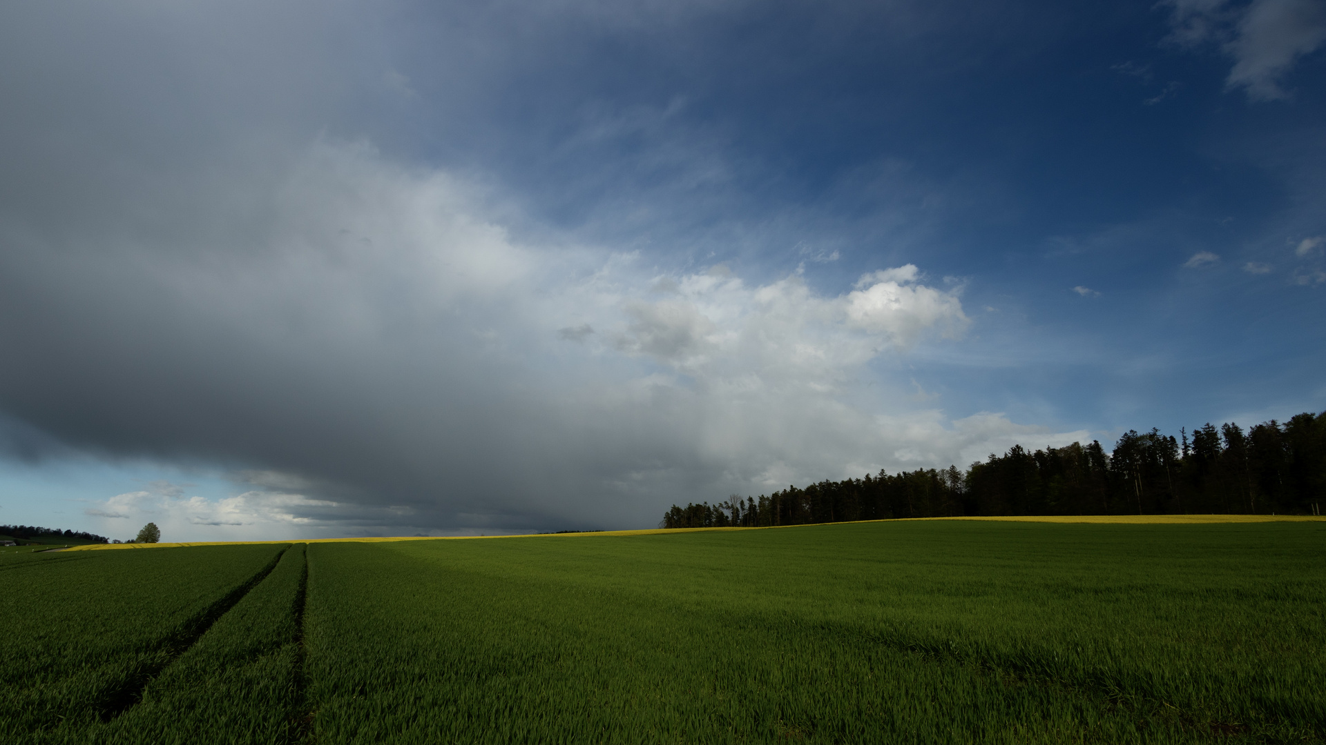 Himmel auf erden