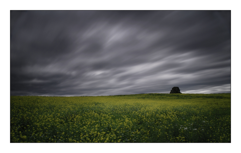 ................himmel - baum - blumen und 30sec...................