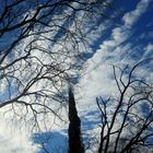 Himmel bei unserer heutigen Wanderung