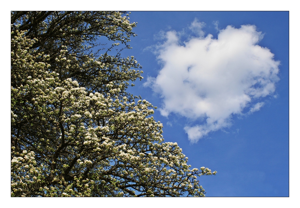 Himmel des Glücks