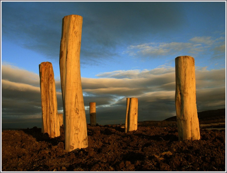 Himmel, Erde, Holz