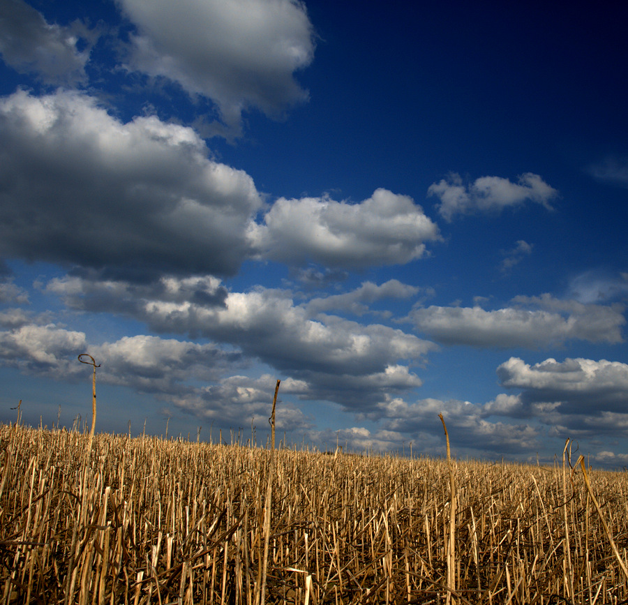 Himmel & Erde I