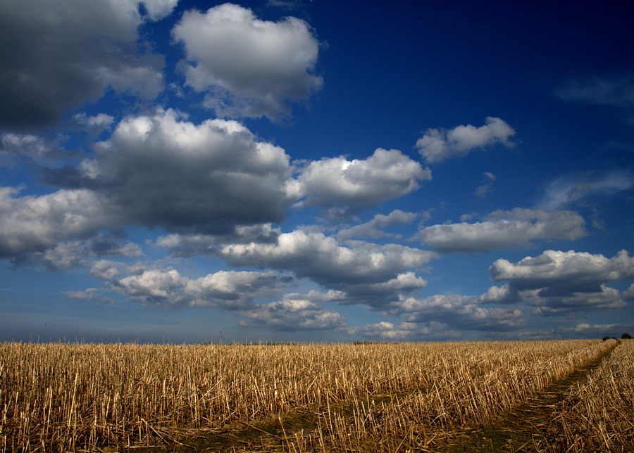 Himmel & Erde II