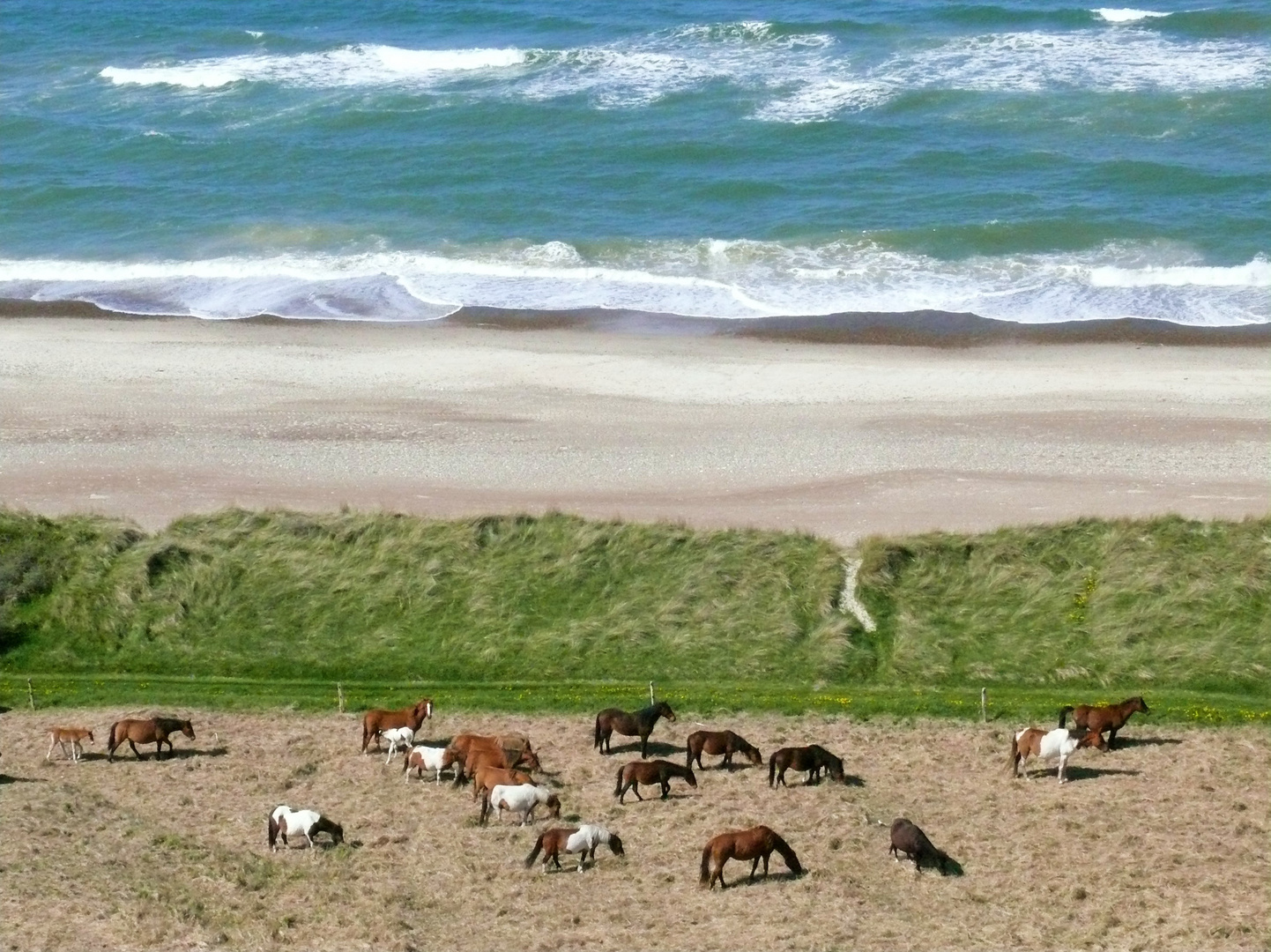 Himmel, Erde, Luft und Meer oder das Glück der Erde...