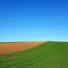 Himmel, Erde und ein Baum dazwischen 