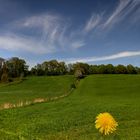 Himmel Feld und Blume....