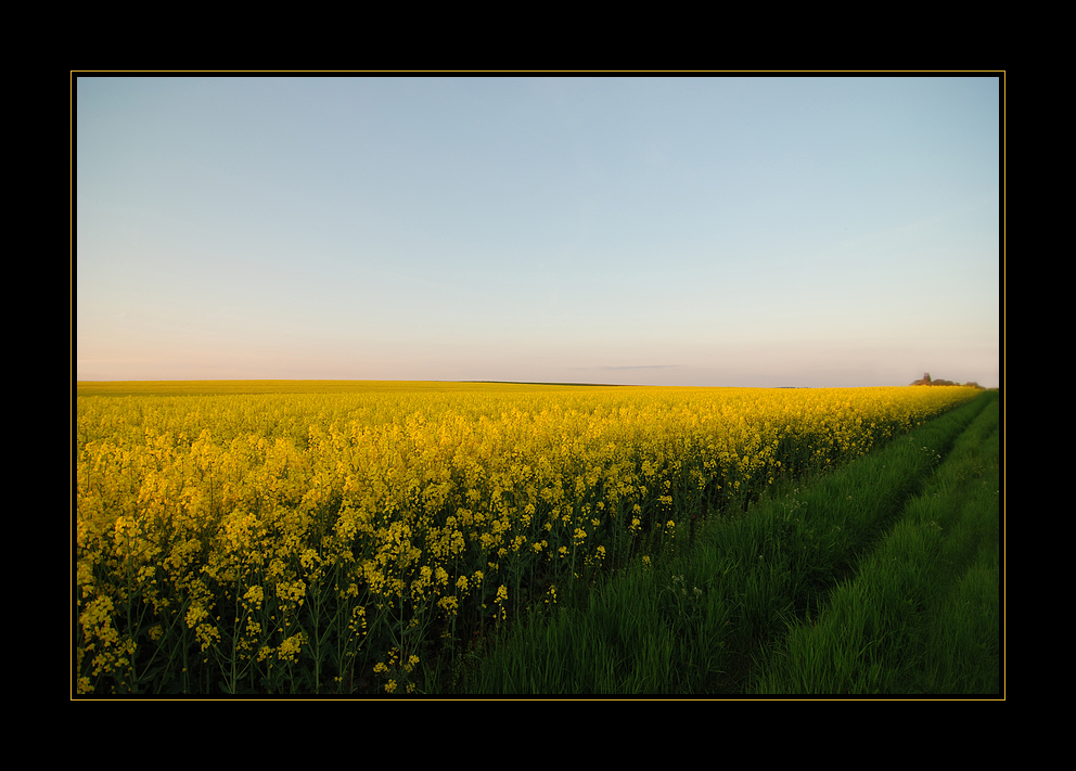 Himmel, Felder, Dorf