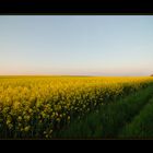 Himmel, Felder, Dorf