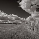 Himmel, Heu und Wolken