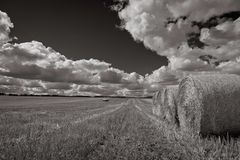 Himmel, Heu und Wolken