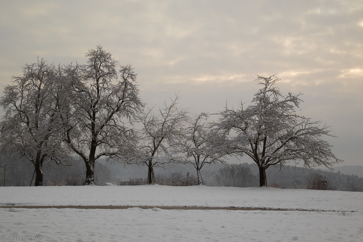 Himmel im Winter