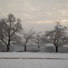 Himmel im Winter