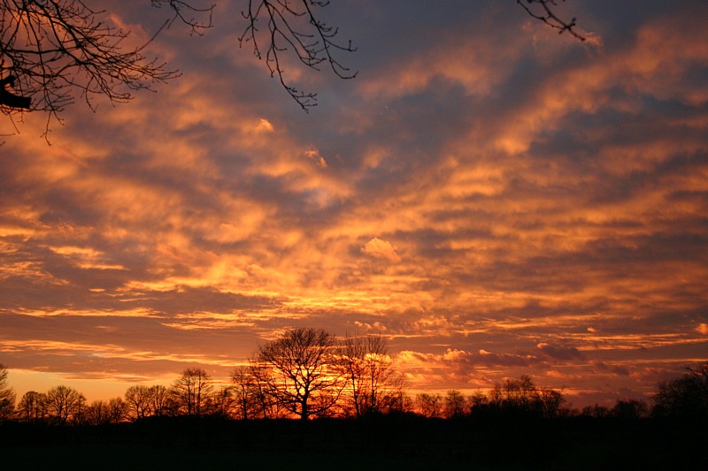 Himmel in Orange