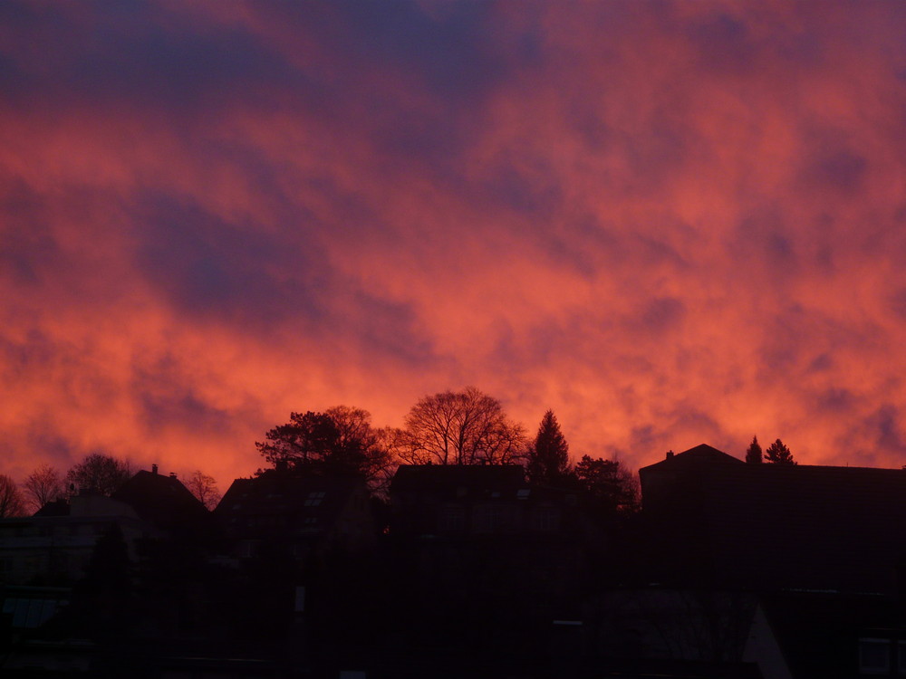 Himmel in Rosa