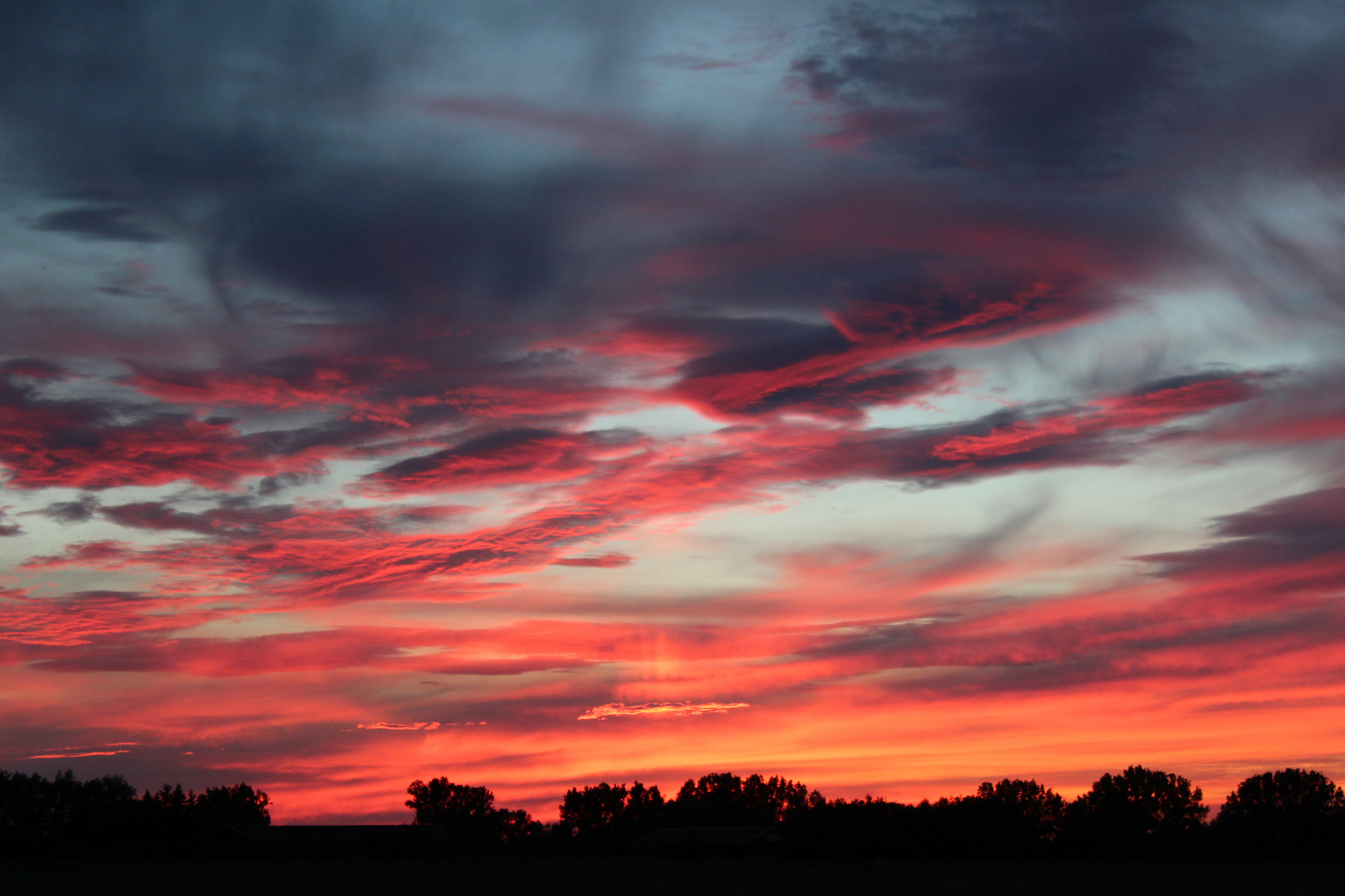 Himmel in Rosa