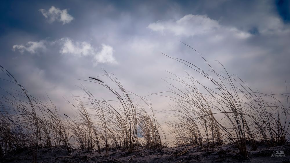 Himmel, Meer, Wellen und das Rascheln der Halme ....