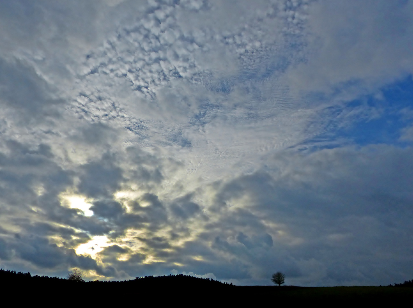 Himmel mit Baum