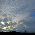 Himmel mit Baum