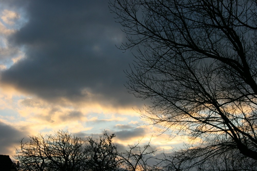 Himmel mit Baum