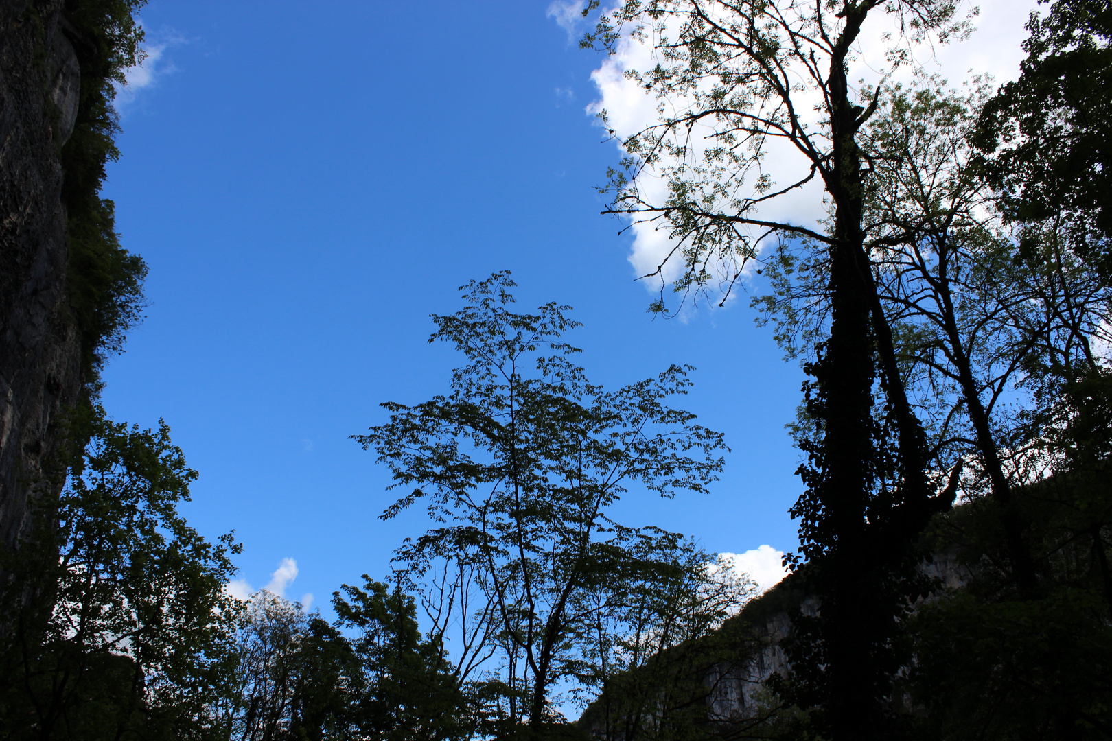 Himmel mit Baum und Wolken 2