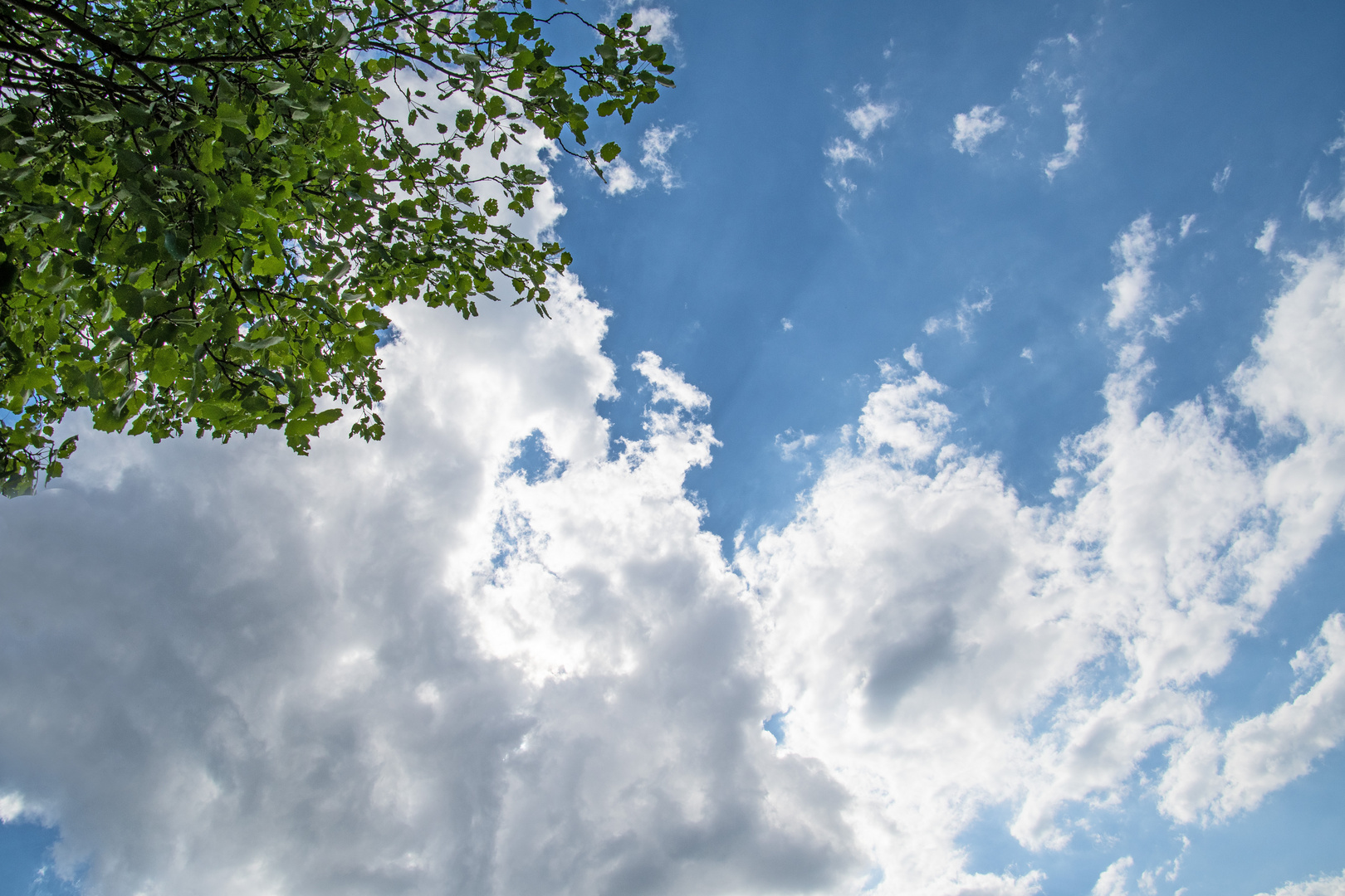 Himmel mit Grünanteil