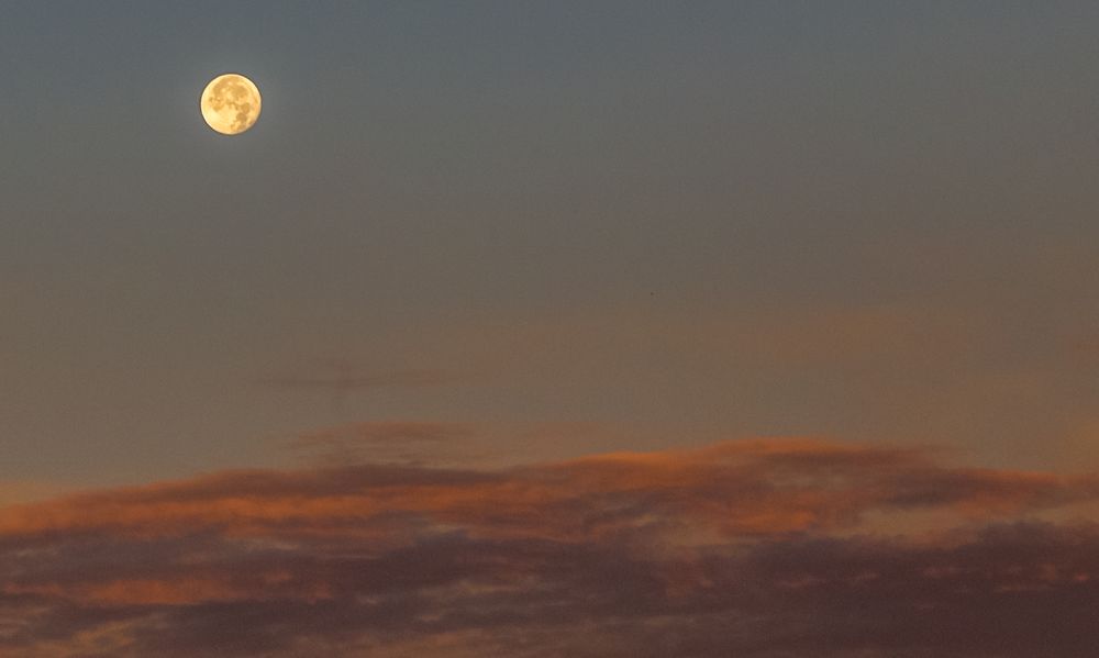 Himmel mit Mond heute morgen